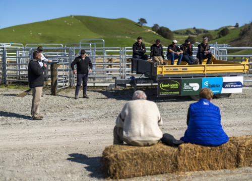 Ahuwhenua Trophy 2022 Wi Pere Trust farm