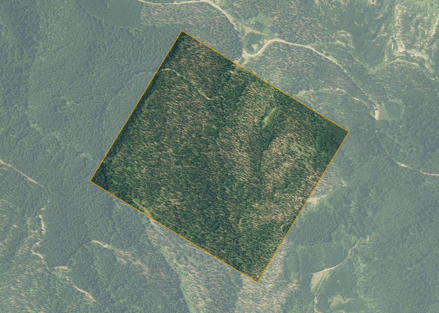 Land lot for Pikaungaehe 1