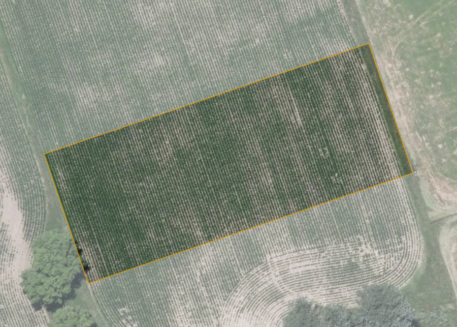 Land lot for Wharepu 1G2