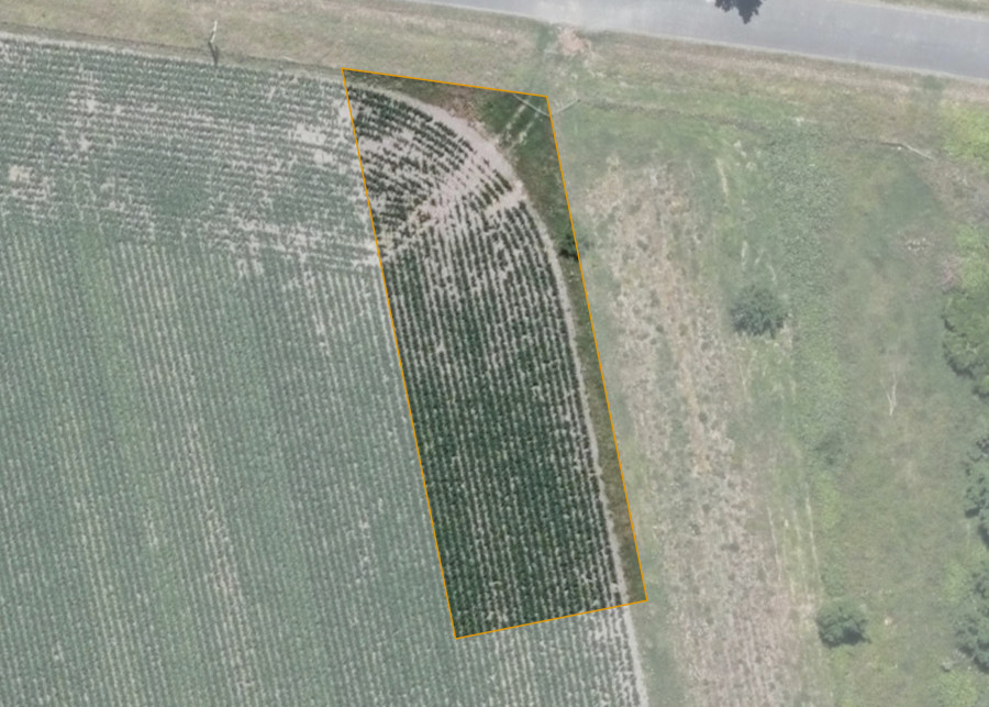 Land lot for Te Rato 3D3C2A