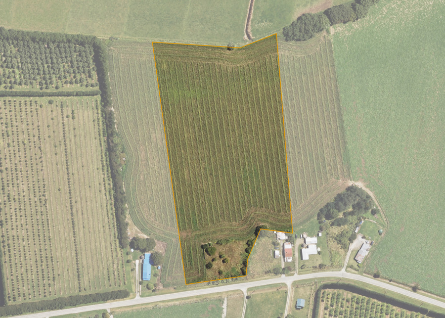 Land lot for Ruakihikihi 7