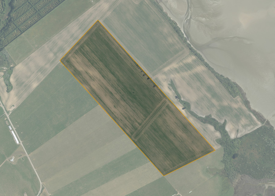 Land lot for Matakana 5