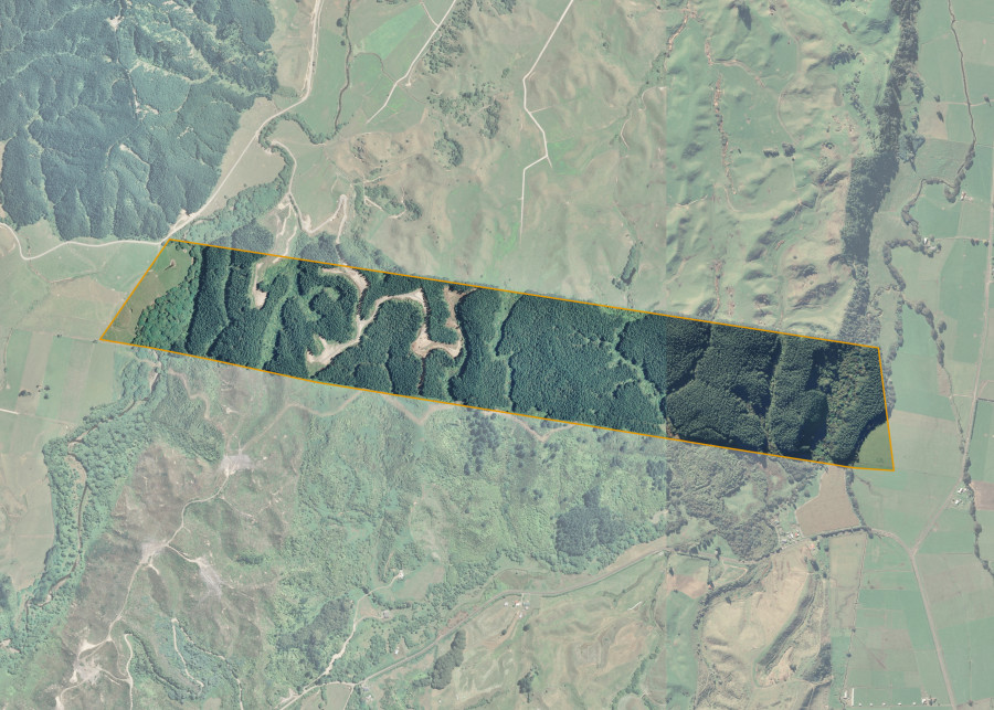 Land lot for Rangitaiki 41B10C
