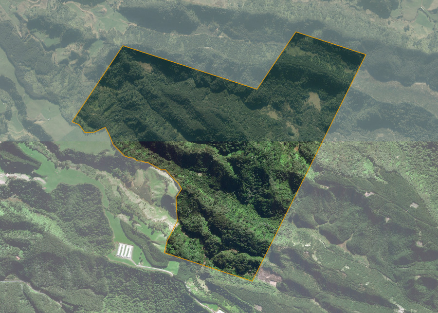 Land lot for Whaiti Kuranui 2E2 West - 4D2B & 4D1