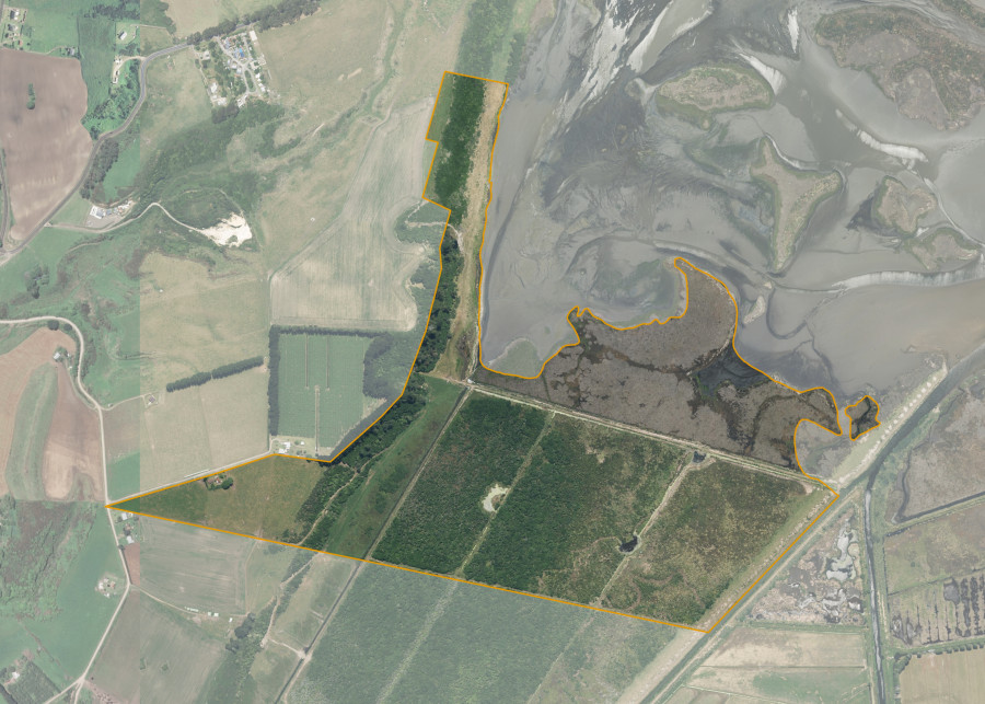 Land lot for Waewaetutuki 8A