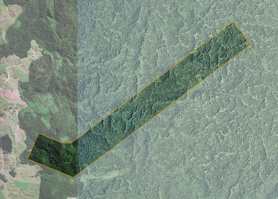 Land lot for Whaiti Kuranui 5D2
