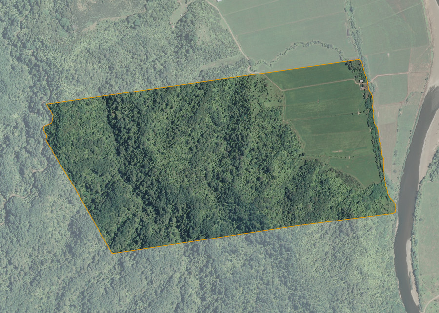 Land lot for Waiotahi 393G