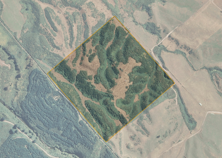 Land lot for Waiohau C23
